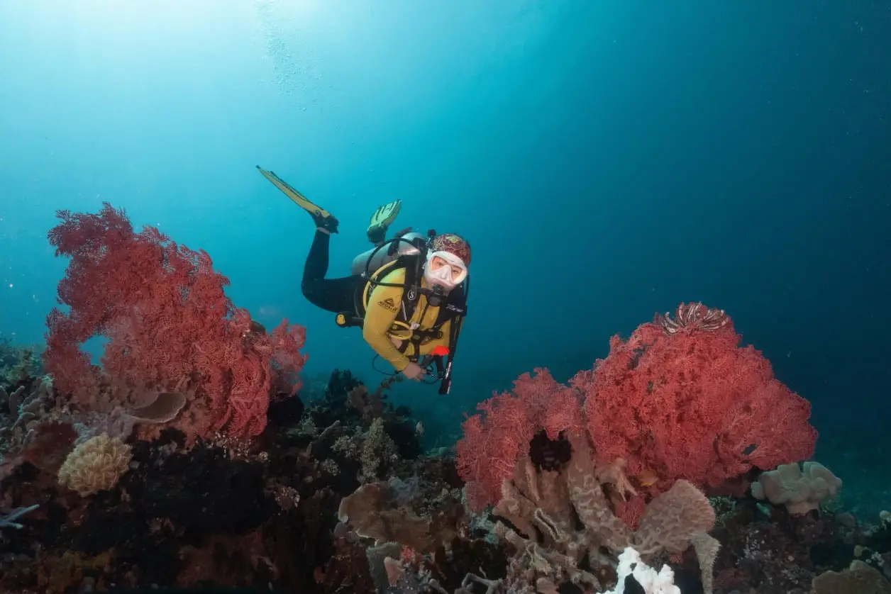 iDiventure